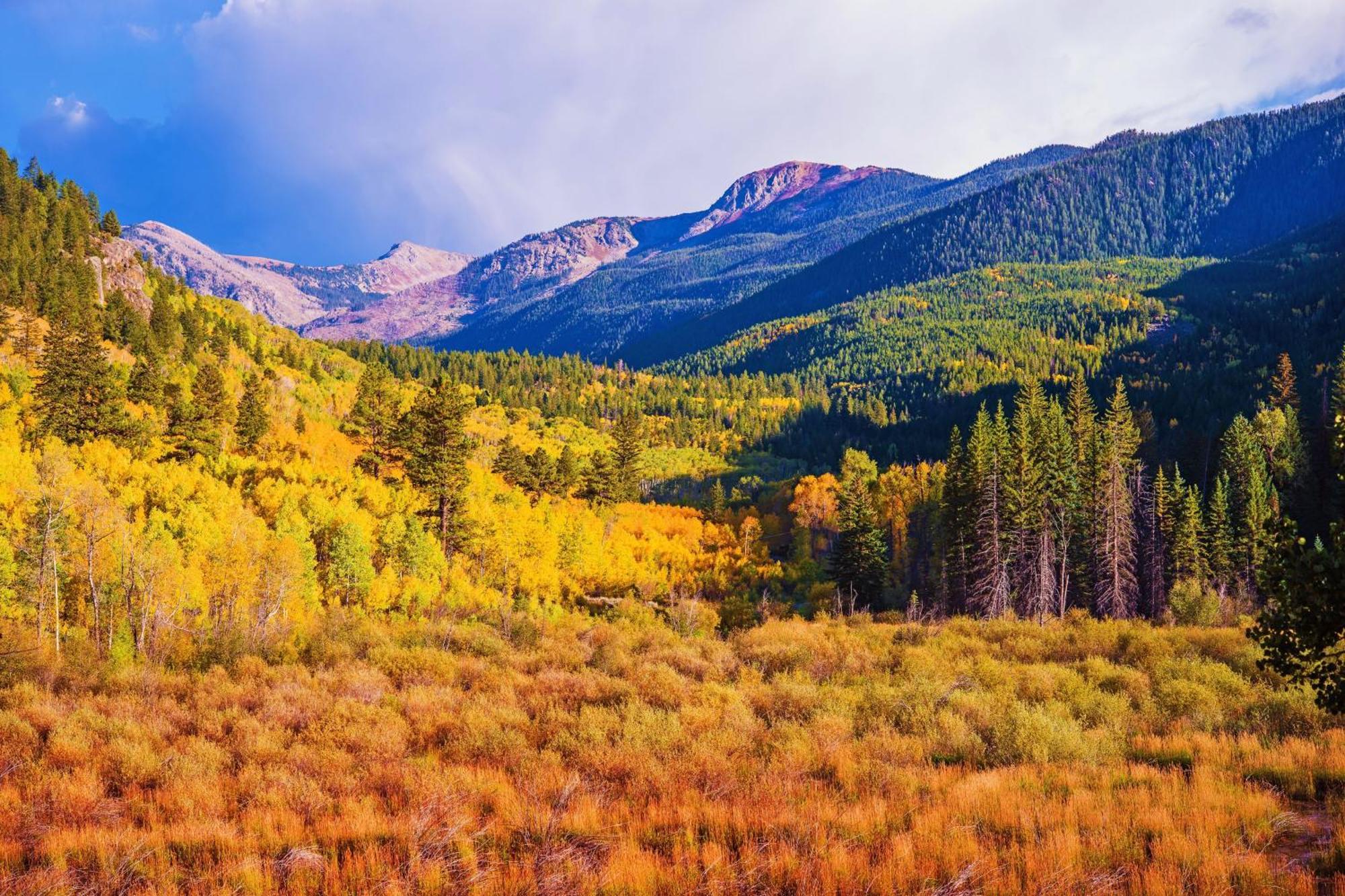 Breakaway West Villa Vail Bilik gambar